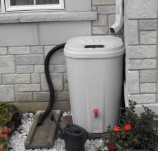 rain barrel