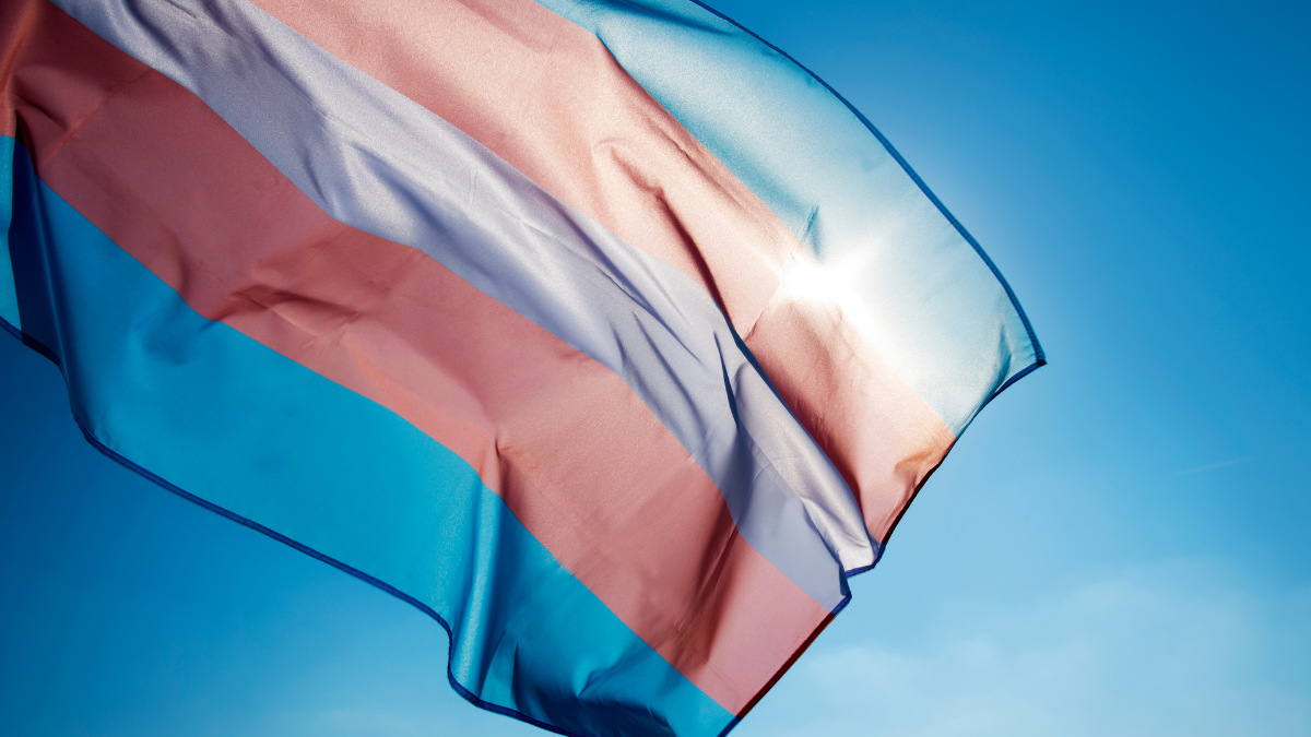 International Transgender Day of Visibility is March 31 