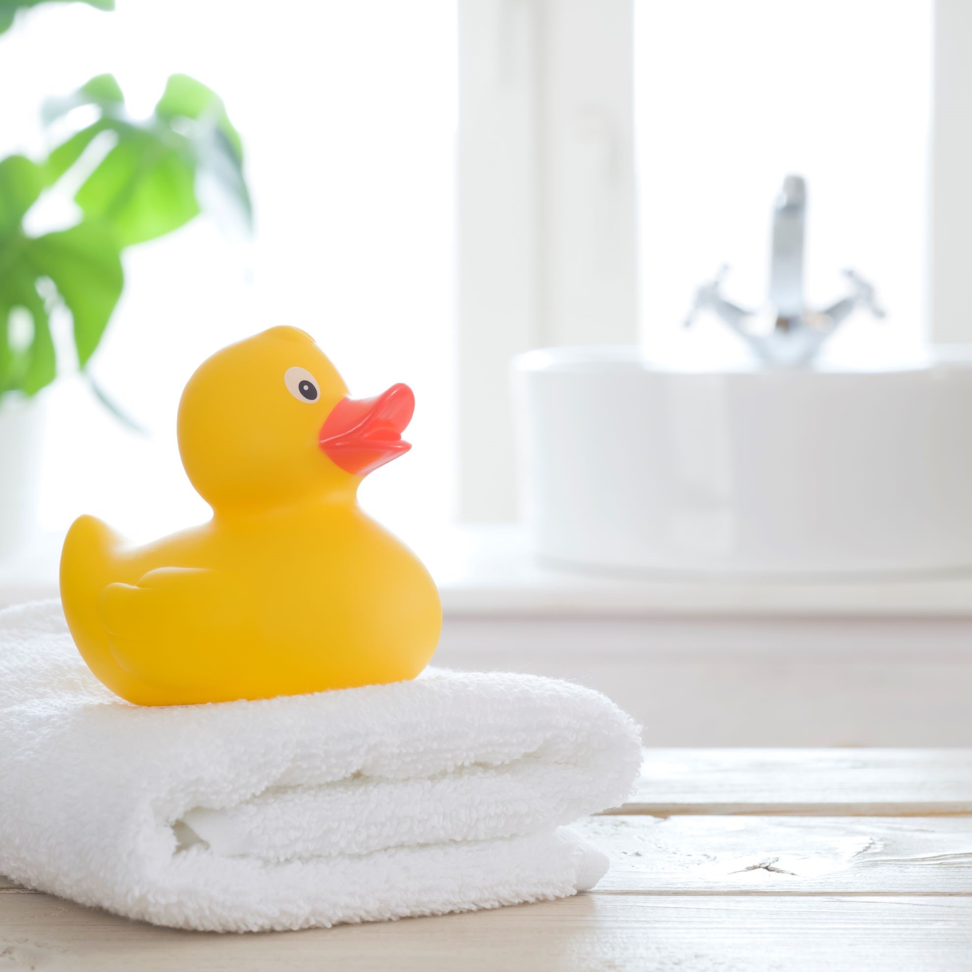 Water heater rentals rent local and switch today Utilities Kingston