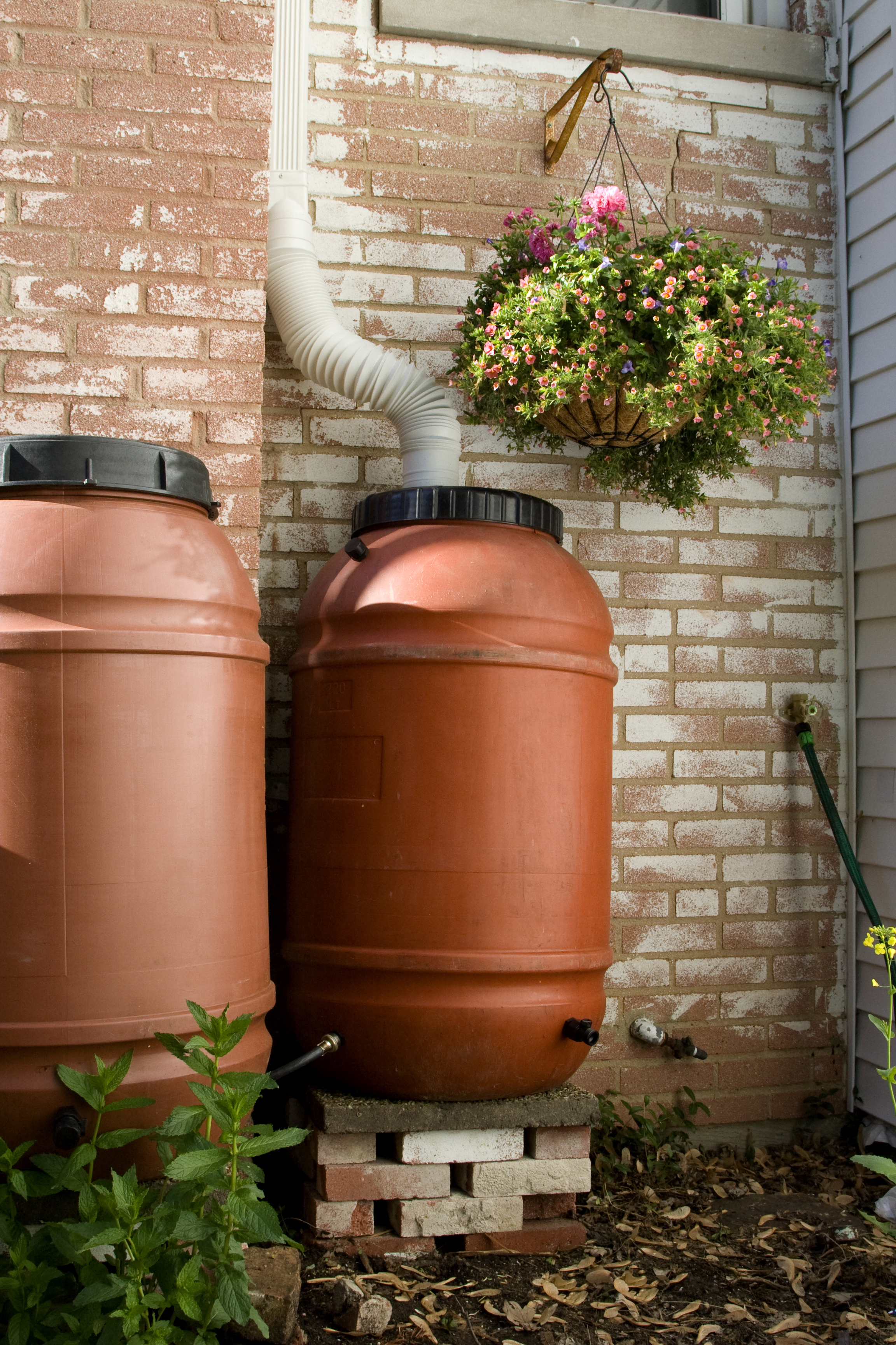 Conserve water, save money: Order a rain barrel today! 