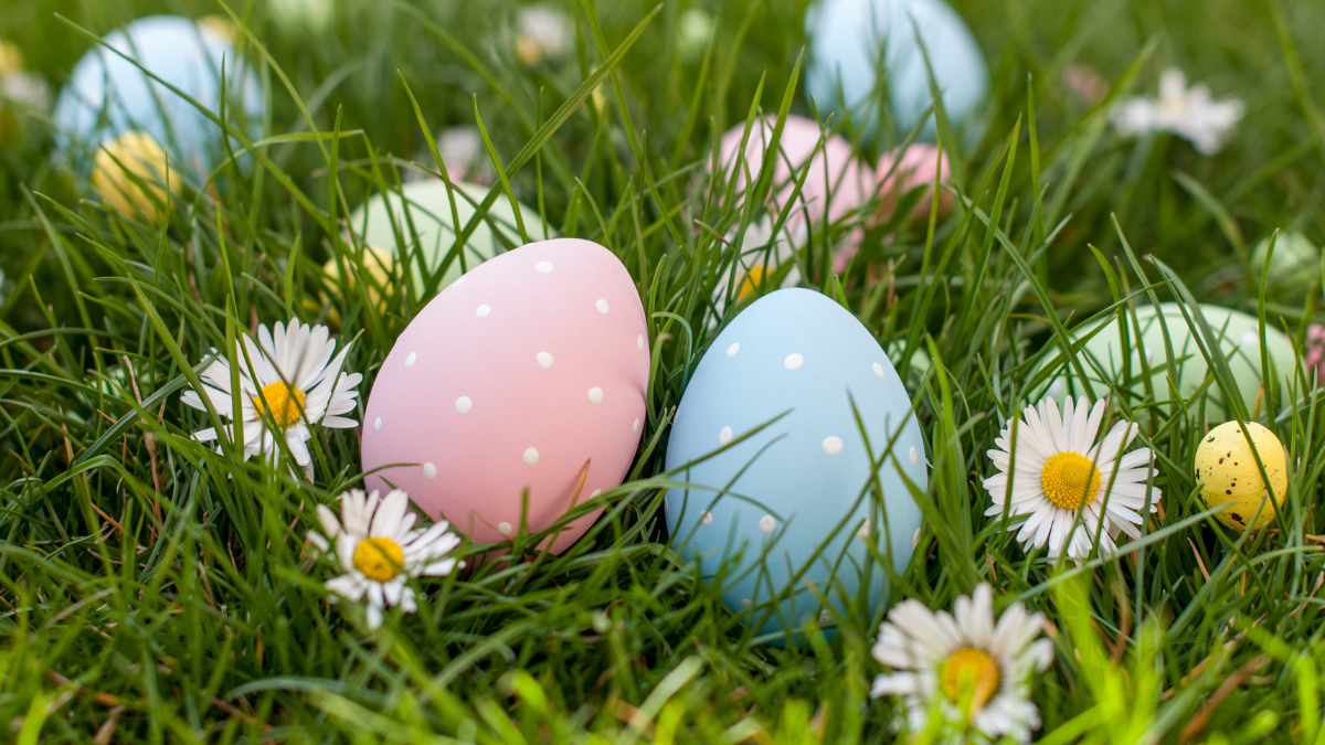 Wishing Kingston a safe and healthy Easter weekend
