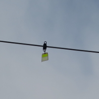 Goose Flashers added to power lines at Bath and Centennial 
