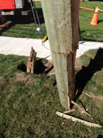 Damage to the base of a wood hydro pole.